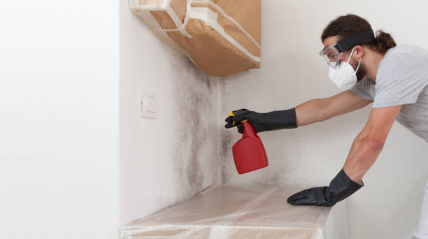 Professional Bathroom Mold Removal technician working in Clearwater, MN