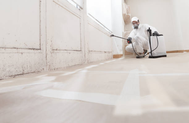 24/7 Emergency Bathroom Mold Removal experts in Clearwater, MN